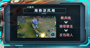 零度教学视频,揭秘高效学习之道