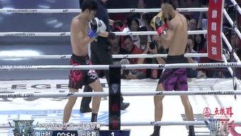 横扫腿视频,一招制胜的武术奥秘